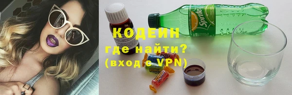 мдпв Дмитриев
