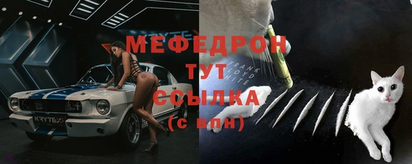 мдпв Дмитровск