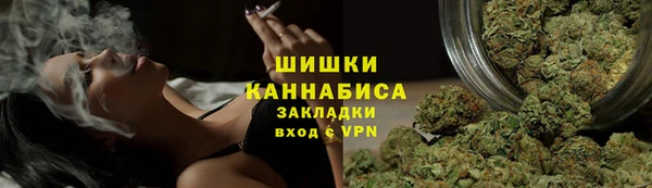 мдпв Дмитриев