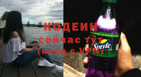 мдпв Дмитровск