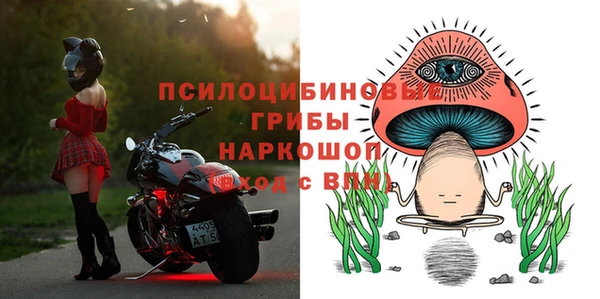 мдпв Дмитриев