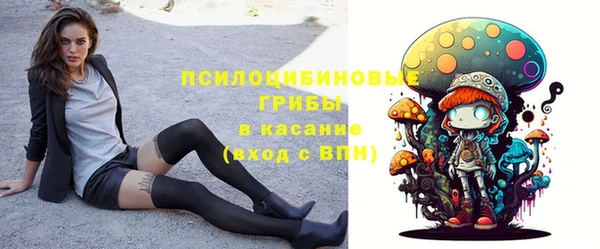 мдпв Дмитровск