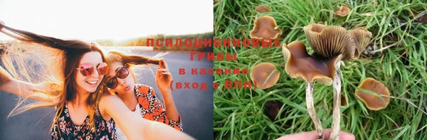 мдпв Дмитровск