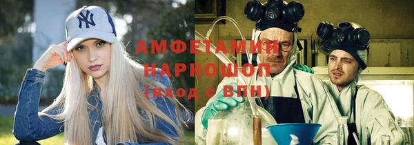 мдпв Дмитровск