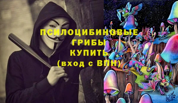 мдпв Дмитровск